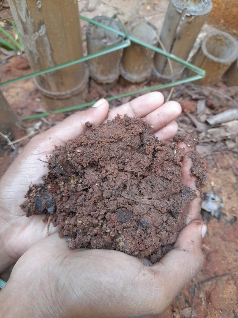 homemade compost