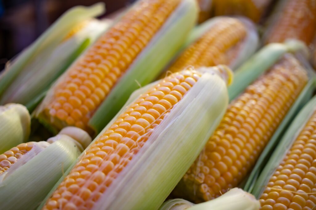 corn