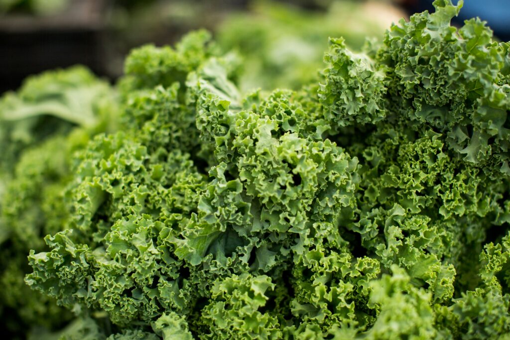 Kale is a good companion plant for spinach.